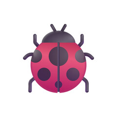 Lady Beetle