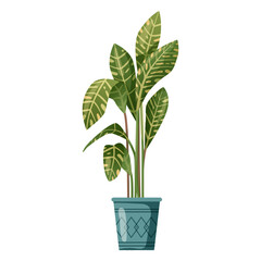 Houseplant plant growing in pots. Beautiful home decorations, plants isolated on white background. Cartoon flat illustration.