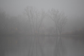 Der Ümminger See im Nebel - 702245797