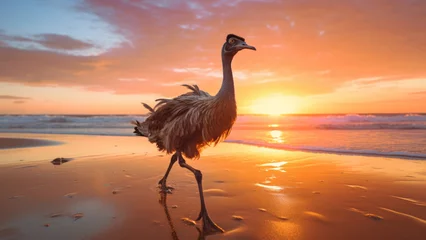 Tuinposter Maritime Ostrich: Sunset Sprint by the Coastal Sun © Andrii