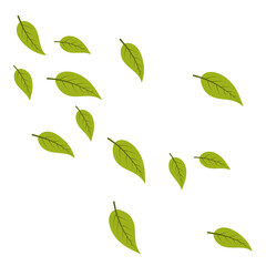 Falling leaves Illustration 