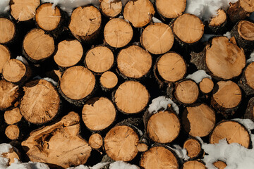 sawn logs in the forest stacked on top of each other