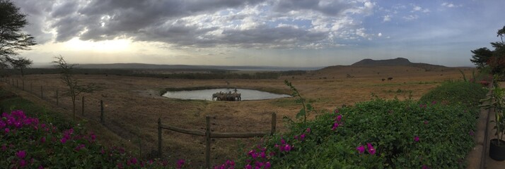 Nakuru National Park