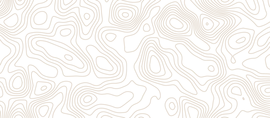 Tuinposter Panorama view gradient multicolor wave curve lines banner background design. Vector illustration. wave Line topography map contour background .Abstract Topographic map background with wave line. © Jubaer