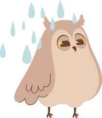 Owl Under Rain