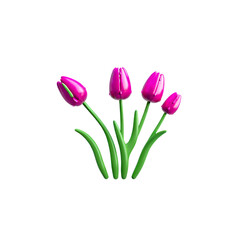 pink tulips isolated on white