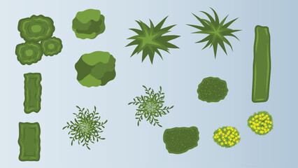 illustration flat cartoon top view of tree and bushes