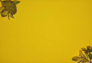 Foglie fresche agli angoli su sfondo giallo. Vista dall'alto con spazio da riempire