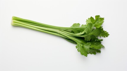 a solitary celery stalk isolated against a clean white surface, highlighting its crispness and natural green tones.