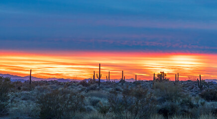 Vibrant Wide Ratio Arizona Sunset With City Lights