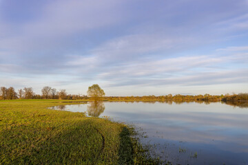 Field during spring flood, river flood