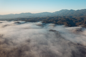 Morning fog in the forest before spring