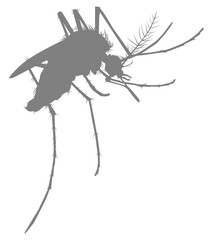 Mosquito Silhouette, can use for Art Illustration Pictogram, Website, and Graphic Design Element. Format PNG