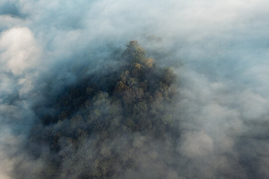 Morning fog in the forest before spring © artrachen