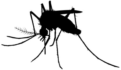 Mosquito Silhouette, can use for Art Illustration Pictogram, Website, and Graphic Design Element. Format PNG - obrazy, fototapety, plakaty