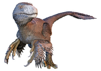 3D Rendering Dinosur Dakotaraptor on White