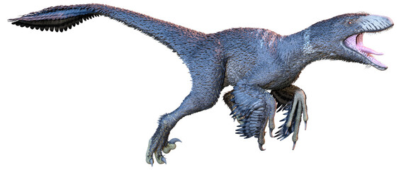 3D Rendering Dinosur Dakotaraptor on White © photosvac