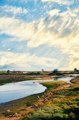 Dune system in the estuary of a river in the Oyambre National Park

