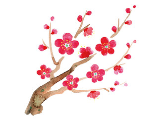 梅の枝　水彩　イラスト　年賀状　背景　素材
