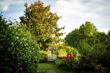 Italy, Tuscania: trees in the garden, beautiful summer day