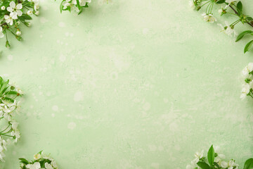 Passover blooming white apple or cherry blossom on green background. Happy Passover background....