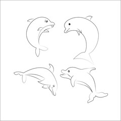 Dolphins various poses of a sea animal.