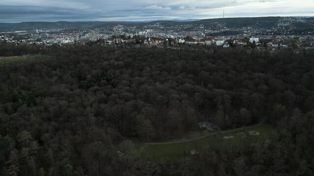 Kr&auml;herwald mit Stuttgart's Aussicht im Hintergrund.