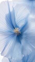 A close up of a large blue flower