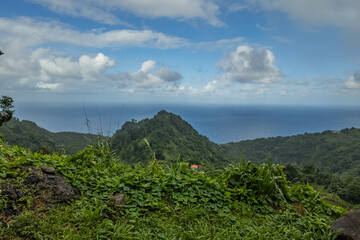 Guadeloupe amazing jungle with green leaves in high humidity © SAndor
