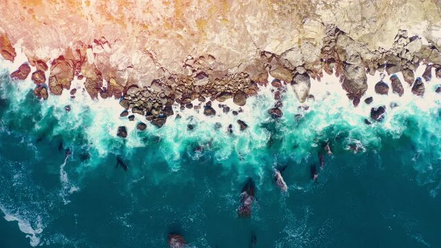 Aerial view looking straight down onto crashing waves. Blue ocean, wave and impact power.
