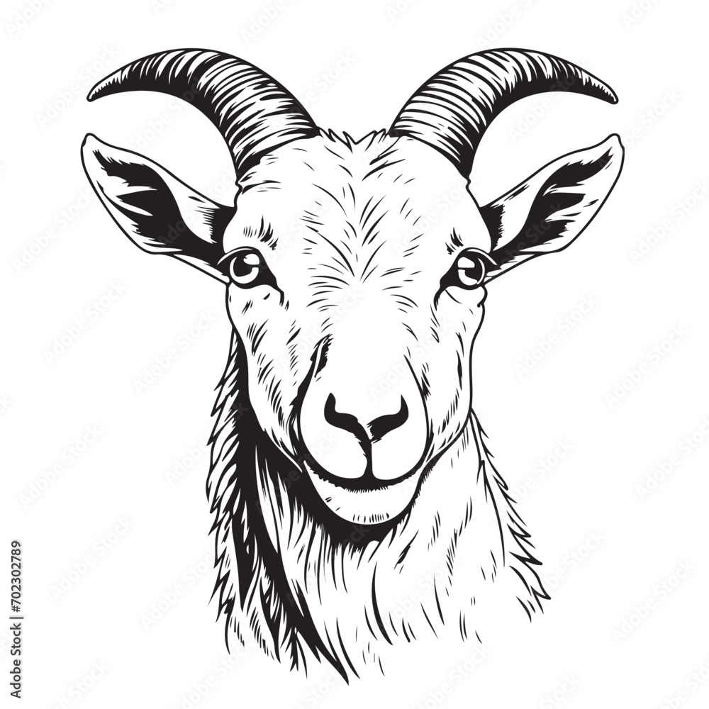 Poster Farm goat portrait hand drawn sketch Farm cattle