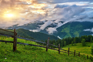 Fototapeta na wymiar Idyllic landscape in the Alps with fresh green meadows and blooming flowers