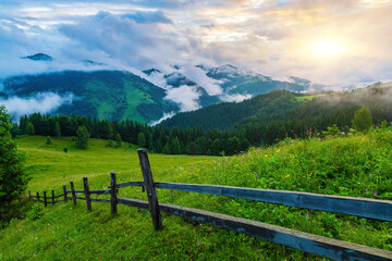 Fototapeta na wymiar Lanscape view of yellow green meadow on the hill with old fence, rye field and mountains in the background at sunrise mountains in the background