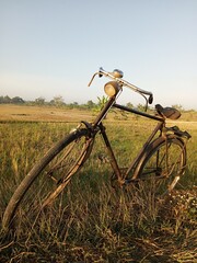 old bicycle on the rice field.