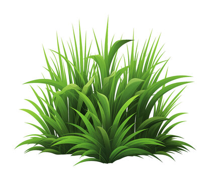 Grass Illustration Style Isolated on Transparent Background

