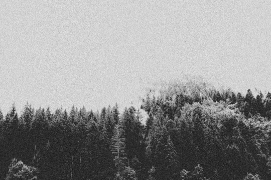 Vintage wild forest design template. Wild forest in the style of grainy roughness background.