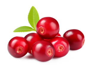 Cranberry Isolated on Transparent Background
