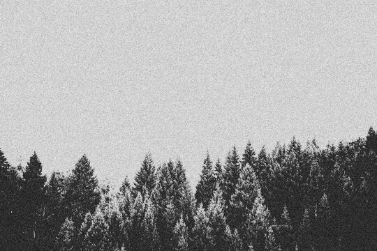 Vintage wild forest design template. Wild forest in the style of grainy roughness background.