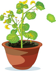 Growing plant in a pot vector illustration