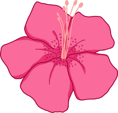Azalea Pink Flower Petal Vector Illustration