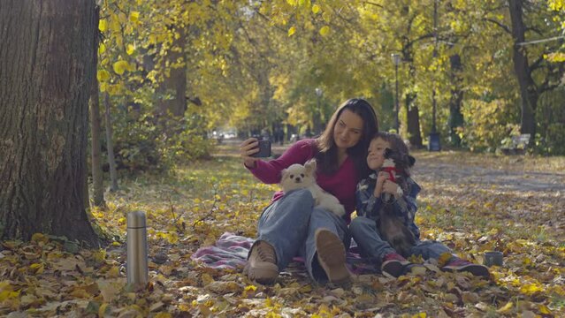 Happy moments of life, a family takes a photo with pets in an autumn park. Walks with the dog in the yellow leaves and a picnic. High quality 4k footage