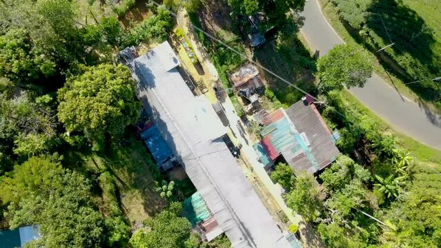 An aerial video of Tea Plantation on the mountains in Sri Lanka
