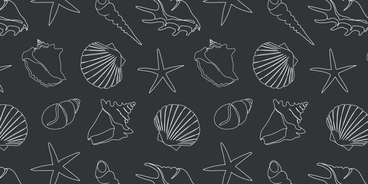 Seamless pattern with hand drawn outline seashells with chalk on a black board. Vector marine pattern for fashion design, fabric, paper, web design, textile, tiles, packaging