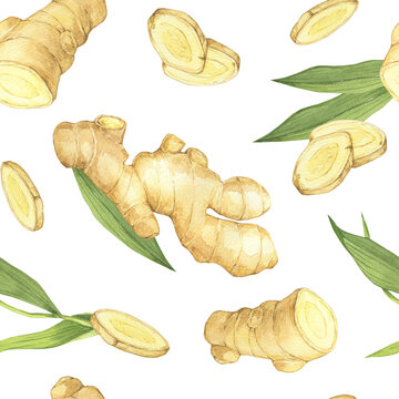 Watercolor illustration of spice ginger, half, leaves and slices. Hand-drawn seamless pattern. Ginger root for food design. Kitchen herb and spice