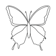 Continuous Single line drawing of  butterfly  out line vector  art drawing  and  flying  butterfly editable stroke