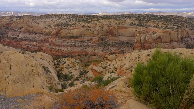 Establishing shot of brown mountains with green forest in The Hogback Scenic Root 12, Utah, North America. Day time on October 2023. ProRes 422 HQ.