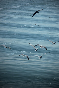 Witness breathtaking ocean views with seagulls in flight on the Naf River while cruising. &zwj;St. Martin Island, Bangladesh