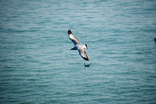 Witness breathtaking ocean views with seagulls in flight on the Naf River while cruising. &zwj;St. Martin Island, Bangladesh