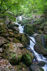 Fototapeta na wymiar Idyllic and amazing waterfall in a fantastic landscape in Ötschergräben near Eibenboden in Lower Austria.