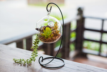 mini garden in glass